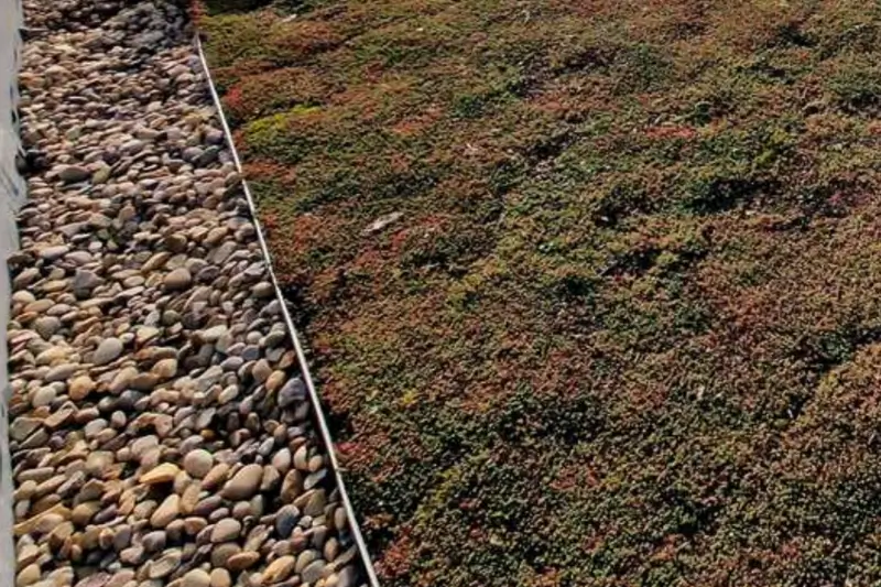 Green Roof - RM6